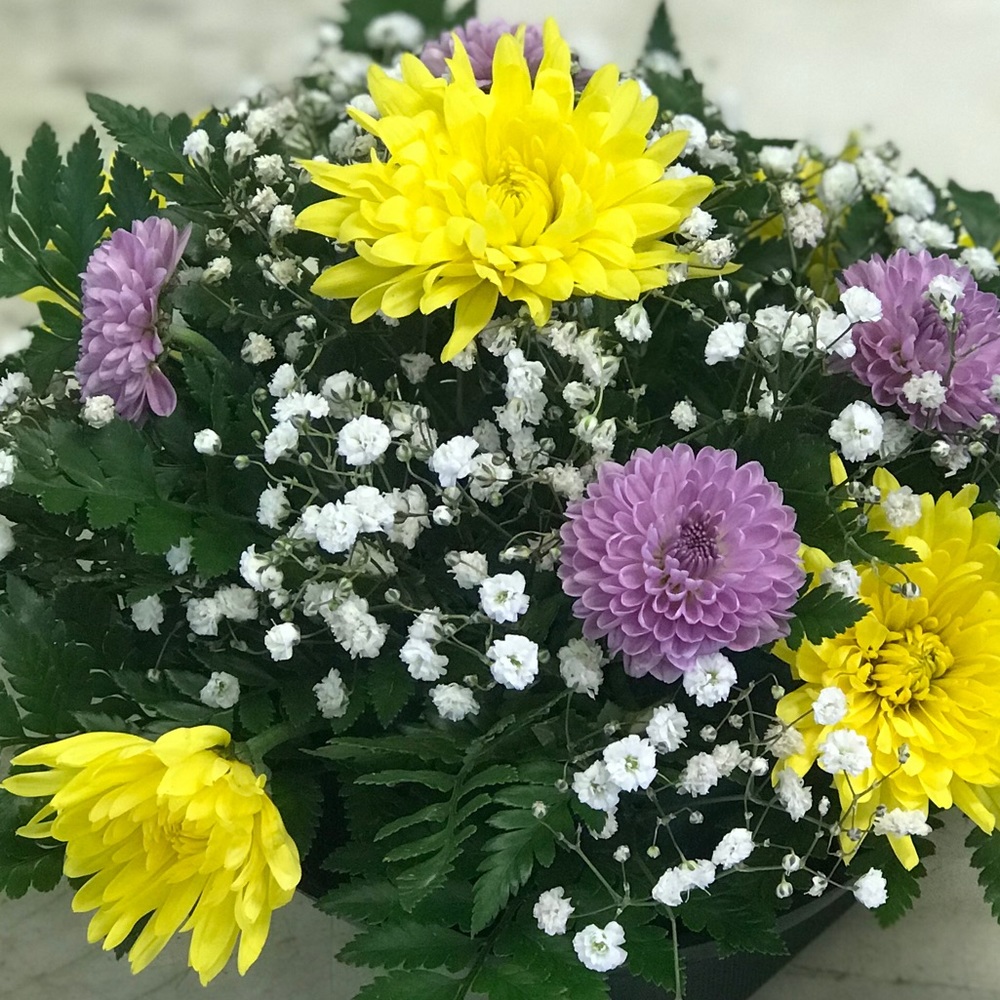 Meet your Posher, Birklee